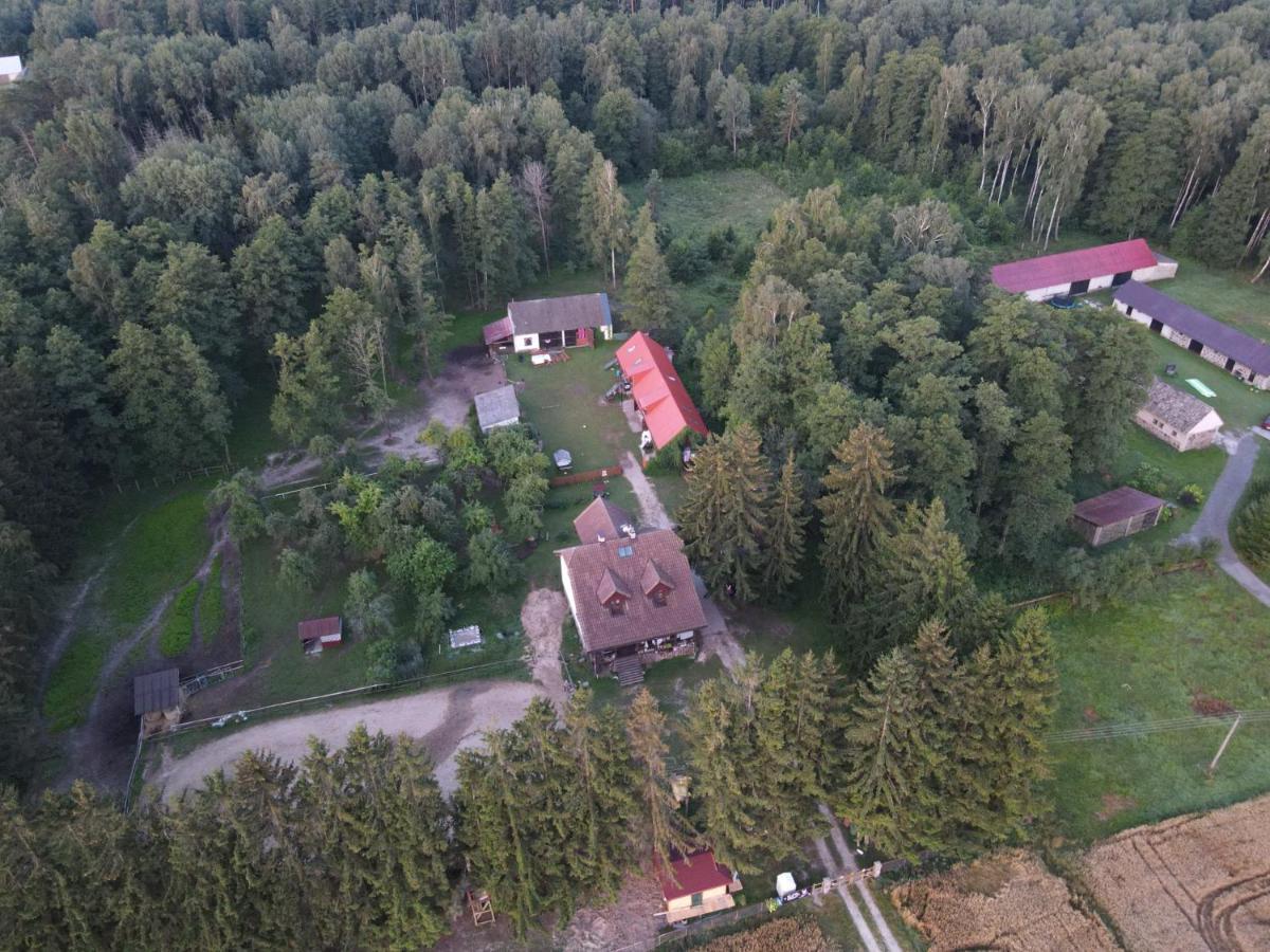 Kurnik Polski Agroturystyka Tykocin Exterior photo