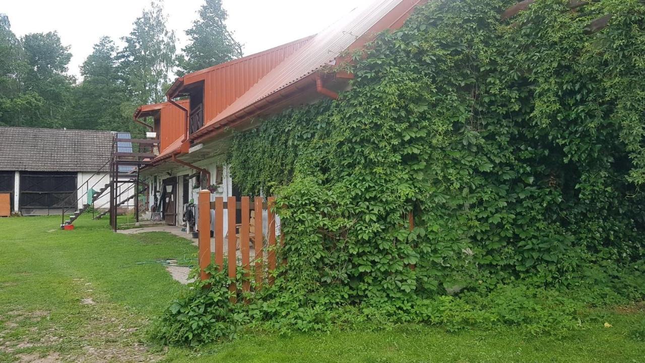 Kurnik Polski Agroturystyka Tykocin Exterior photo